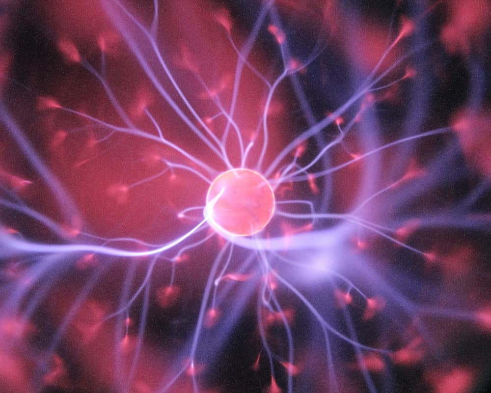 MOF molecular structure visualization